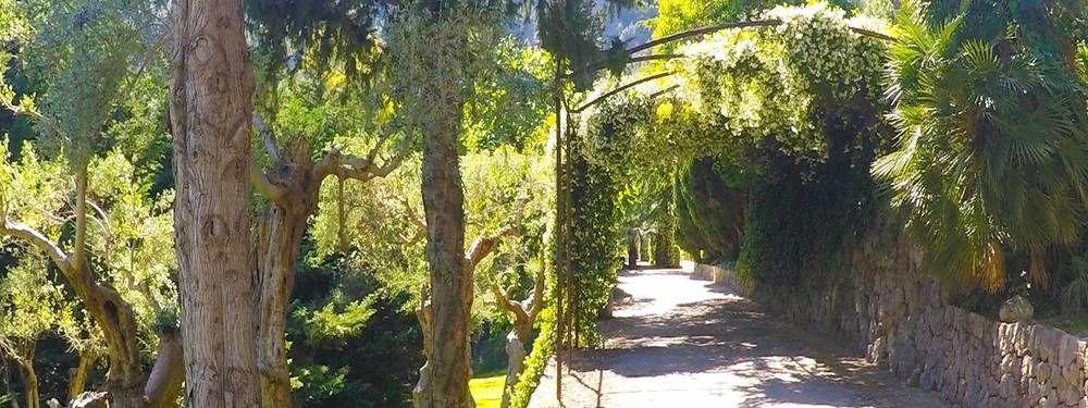 Alfabia Nou Apartamento
