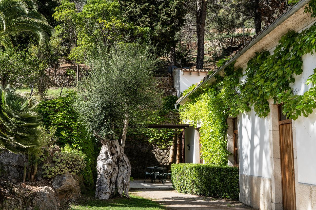 Alfabia Nou Bunyola (Buñola)